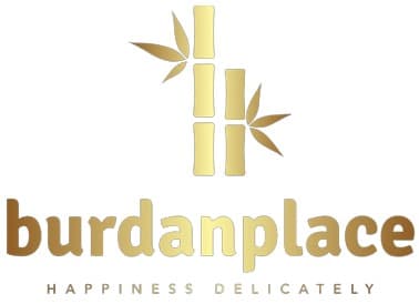 Burdanplace Story